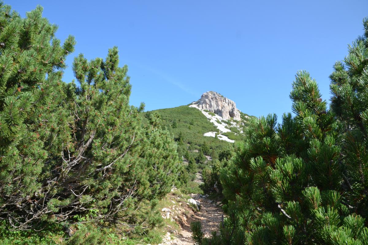 Weisshorn 31.08.2023